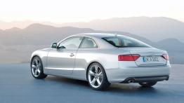 Audi A5 - widok z tyłu