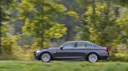 BMW serii 5 F10 518d Sedan (2015) - lewy bok