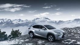 Lexus NX 200t Luxury (2015) - widok z góry