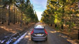 Volvo V60 Cross Country (2015) - widok z tyłu