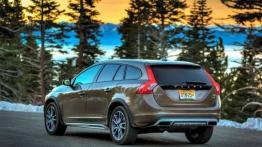 Volvo V60 Cross Country (2015) - widok z tyłu