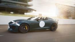 Jaguar F-Type Project 7 (2015) - lewy bok