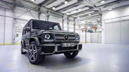Mercedes klasy G (BR 463) 2015 - widok z przodu