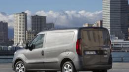 Fiat Doblo III Cargo Facelifting (2015) - widok z tyłu