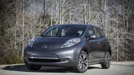 Nissan Leaf I Hatchback 5d