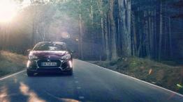 DS 3 Hatchback Facelifting 2015 (Citroen) 1.6 THP Racing 202KM 149kW 2015-2016