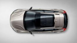 Volvo V40 Cross Country (2016) - dach