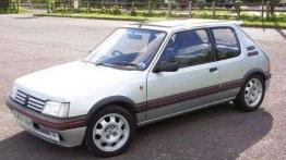 25 lat Peugeot 205 GTI oraz 205 Turbo 16