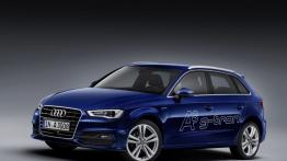 Audi A3 8V Sportback 5d 1.6 TDI ultra 110KM 81kW 2014-2016