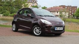 Ford Ka III 1.2 Duratec 69KM 51kW 2008-2016