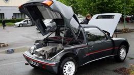 25 lat Peugeot 205 GTI oraz 205 Turbo 16
