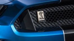 Ford Mustang VI Shelby GT350R (2016) - logo