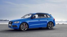 Audi SQ5 TDI plus (2016) - lewy bok