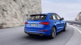 Audi SQ5 TDI plus (2016) - widok z tyłu