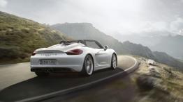 Porsche Boxster 981 Spyder (2016) - widok z tyłu