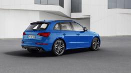 Audi SQ5 TDI plus (2016) - widok z tyłu