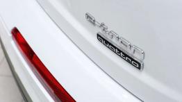 Audi Q7 e-tron (2016) - emblemat