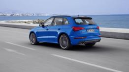 Audi SQ5 TDI plus (2016) - widok z tyłu