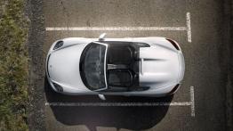 Porsche Boxster 981 Spyder (2016) - widok z góry