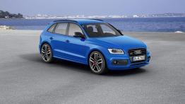 Audi SQ5 TDI plus (2016) - widok z przodu