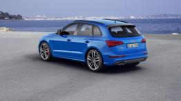 Audi SQ5 TDI plus (2016) - widok z tyłu