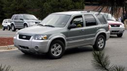 Ford Escape 2006 - lewy bok