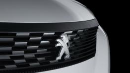 Peugeot Fractal Concept (2016) - grill