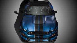 Ford Mustang VI Shelby GT350R (2016) - widok z góry