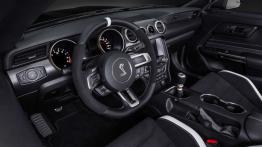 Ford Mustang VI Shelby GT350R (2016) - pełny panel przedni