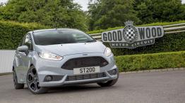 Ford Fiesta ST200 (2016) - widok z przodu