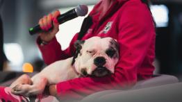 Poznań Motor Show 2026