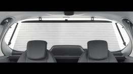 Renault Scenic 2006 - zagłówki na tylnych fotelach