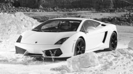 Lamborghini Gallardo LP560-4 - widok z przodu