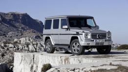 Mercedes Klasa G W463 Off-roader długi Facelifting G 300 CDI 184KM 135kW 2012-2017