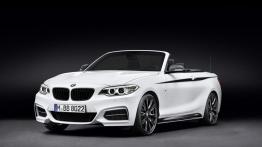 BMW Seria 2 F22-F23-F45-F46 Cabrio 218i 136KM 100kW 2015-2017