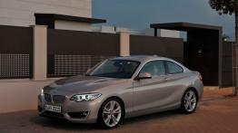BMW Seria 2 F22-F23-F45-F46 Coupe 220d (Euro 6) 190KM 140kW 2015-2017