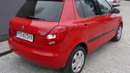 Czy warto kupić: używana Skoda Fabia II (od 2007)