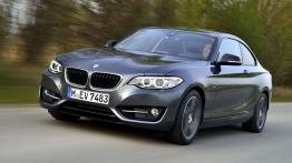 BMW Seria 2 F22-F23-F45-F46 Coupe 220d (Euro 6) 190KM 140kW 2015-2017