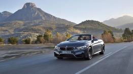 BMW Seria 4 F32-33-36 M4 Cabrio 3.0 M4 (Euro 6) 431KM 317kW 2015-2017