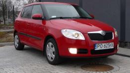 Czy warto kupić: używana Skoda Fabia II (od 2007)
