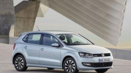 Volkswagen Polo V Hatchback 5d Facelifting 1.0 BlueMotion Technology 60KM 44kW 2015-2017