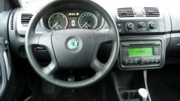 Czy warto kupić: używana Skoda Fabia II (od 2007)