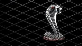Ford Shelby GT500 2007 - logo