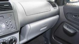 Czy warto kupić: używane Suzuki Ignis (od 2000 do 2007)