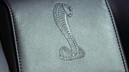 Ford Shelby GT500 2007 - fotel kierowcy, widok z przodu