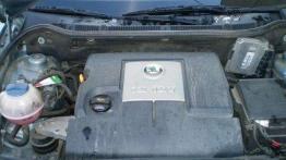 Lepsza niż myślisz - Skoda Fabia (1999-2007)