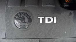 Czy warto kupić: używana Skoda Fabia II (od 2007)