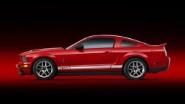 Ford Shelby GT500 2007 - lewy bok