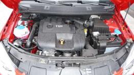 Czy warto kupić: używana Skoda Fabia II (od 2007)