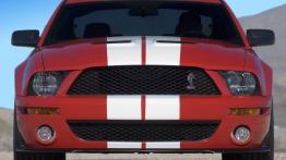 Ford Shelby GT500 2007 - widok z przodu